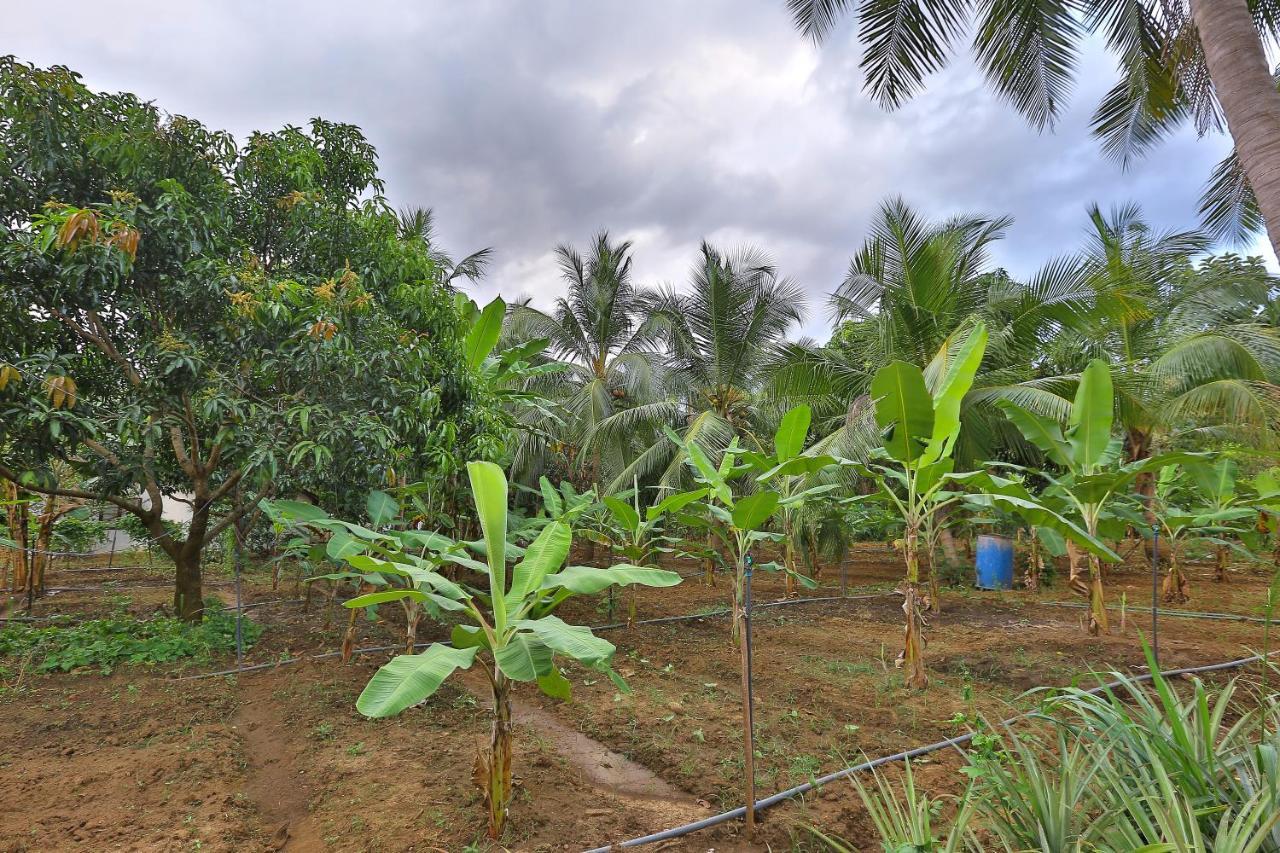 Sayon River Cottage&Eco Garden Monaragala Esterno foto