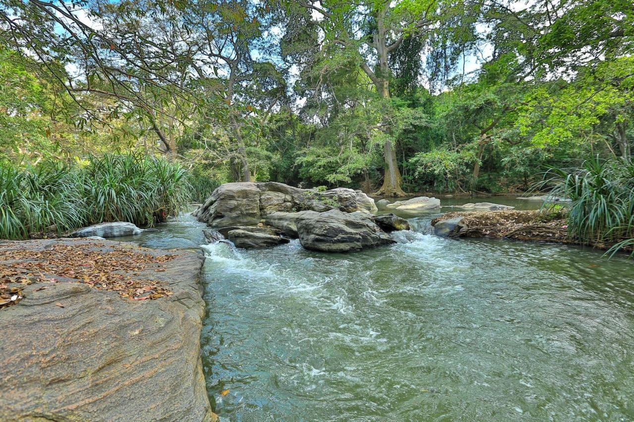 Sayon River Cottage&Eco Garden Monaragala Esterno foto