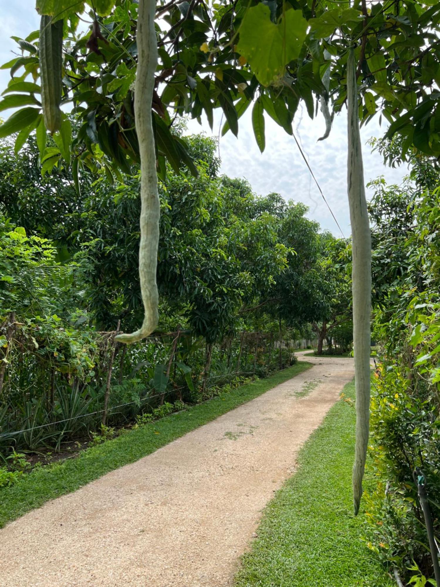 Sayon River Cottage&Eco Garden Monaragala Esterno foto